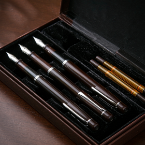 Fountain Pen Set